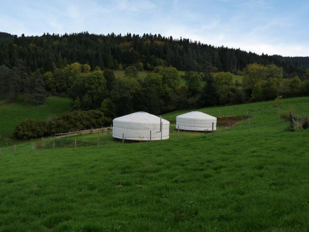 Příroda nedaleko luxury tent