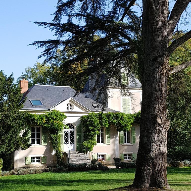 une maison blanche avec un arbre devant dans l'établissement Château de La Villette, à Ardentes