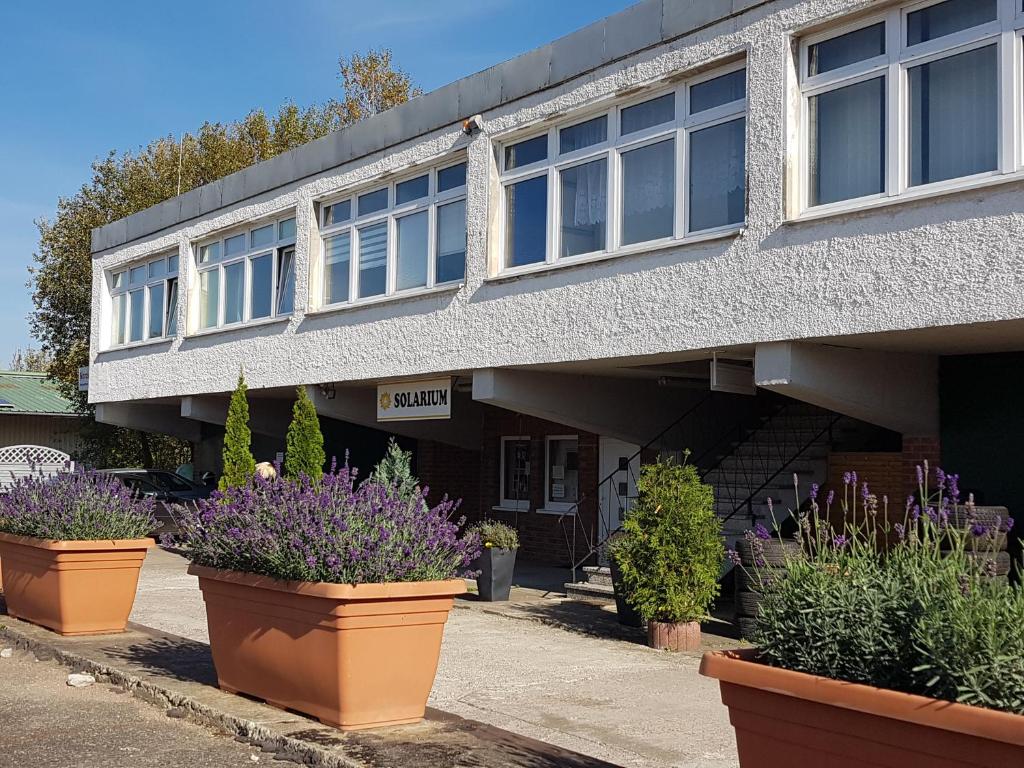 un edificio con macetas delante de él en Monteurzimmer Fuchs-Kupke, en Siebenlehn