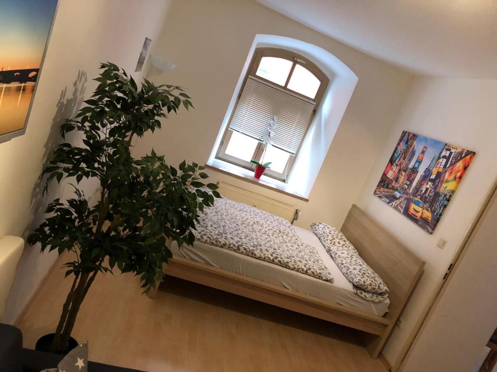 Apartments Altstadtflair - Studio Apartment