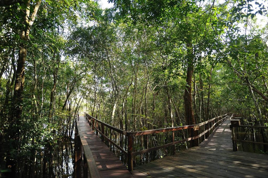 Paisagem natural perto do hotel