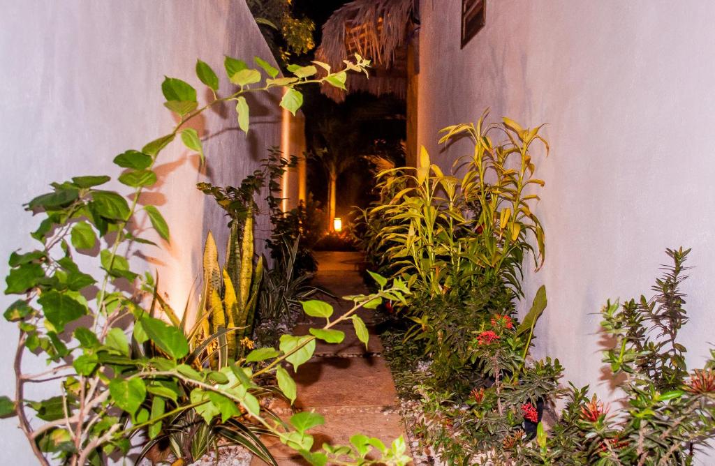  Residence Bons Ventos Jeri