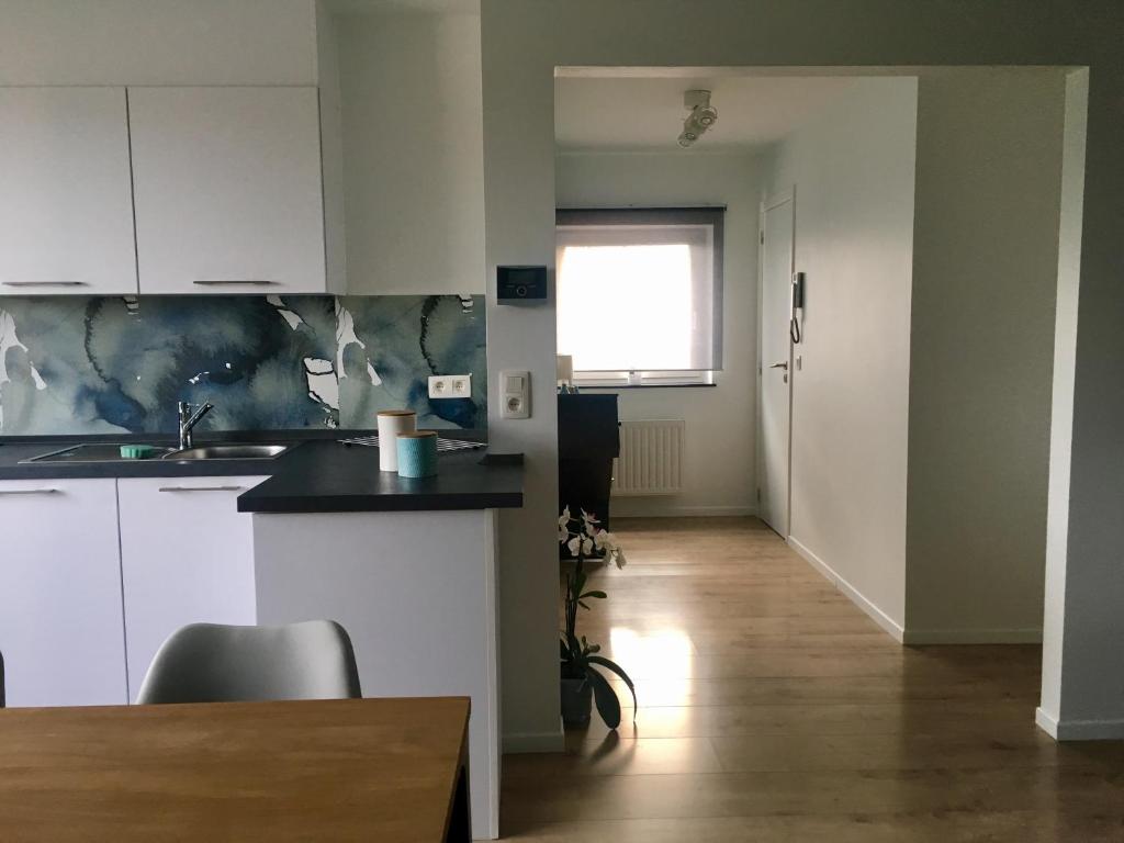Kuchyň nebo kuchyňský kout v ubytování Living5