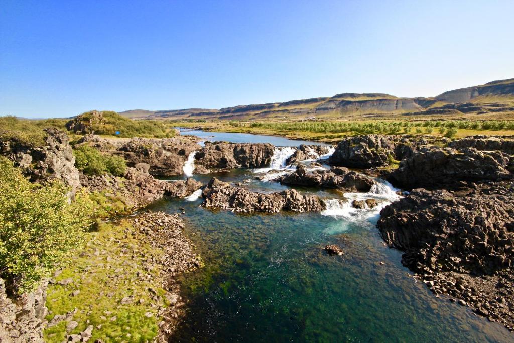 Náttúran í nágrenni sumarhússins