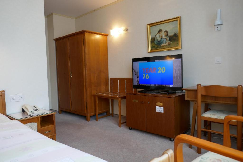 TV a/nebo společenská místnost v ubytování Hotel Terminus Brugg