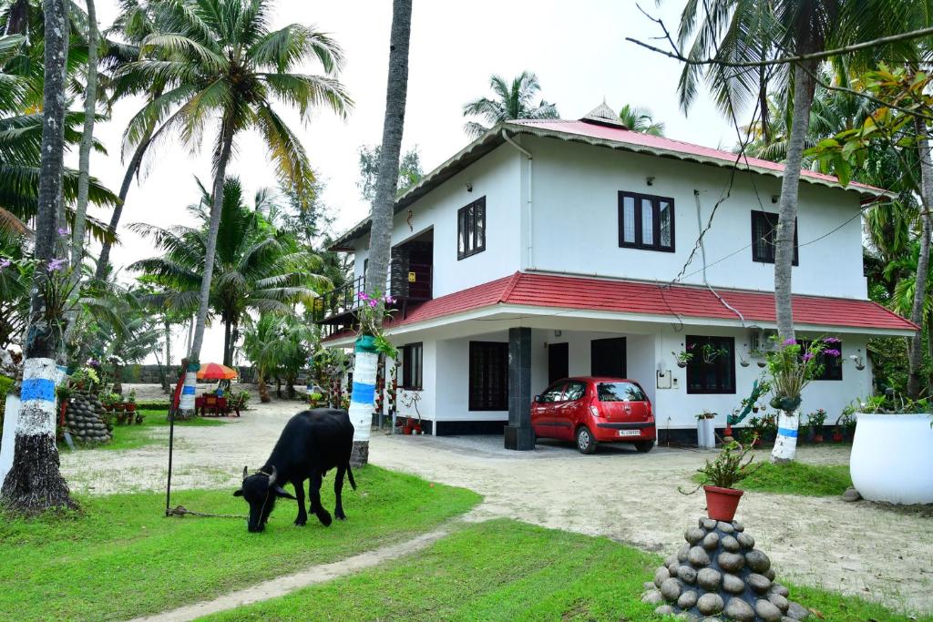Zahrada ubytování Royal Beach Abode