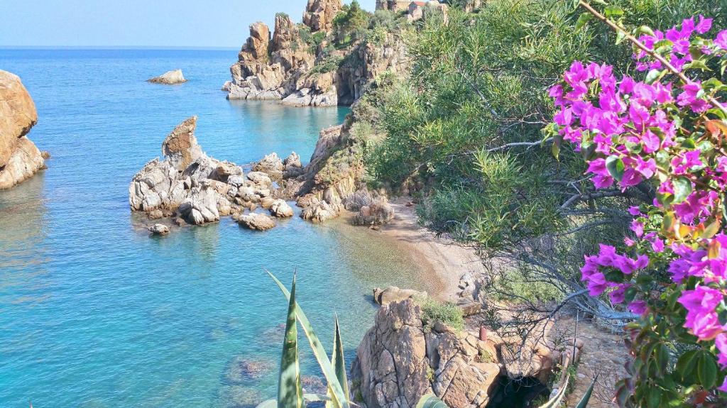 una playa con flores púrpuras junto al agua en Lalli House by DomuSicily, en Cefalú