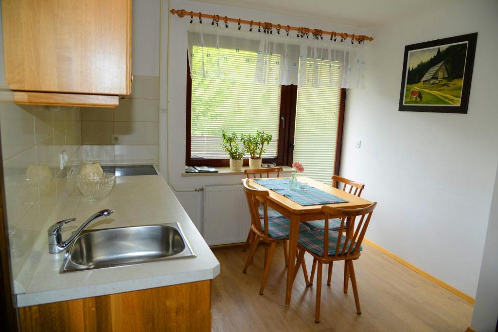 Kuchyň nebo kuchyňský kout v ubytování Apartmaji Rabič