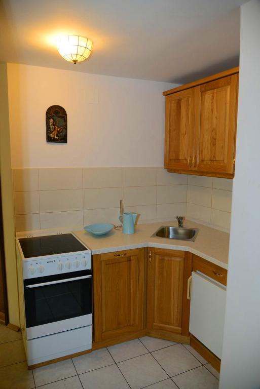 Kuchyň nebo kuchyňský kout v ubytování Apartmaji Rabič
