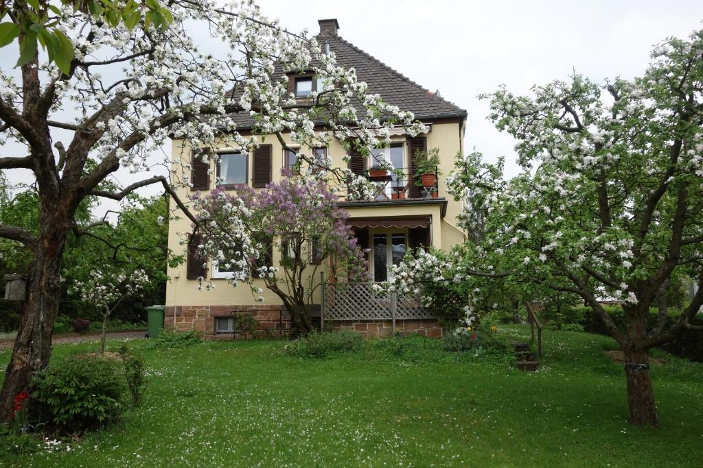 una casa con árboles florecientes delante de ella en Haus Victoria en Marburg an der Lahn