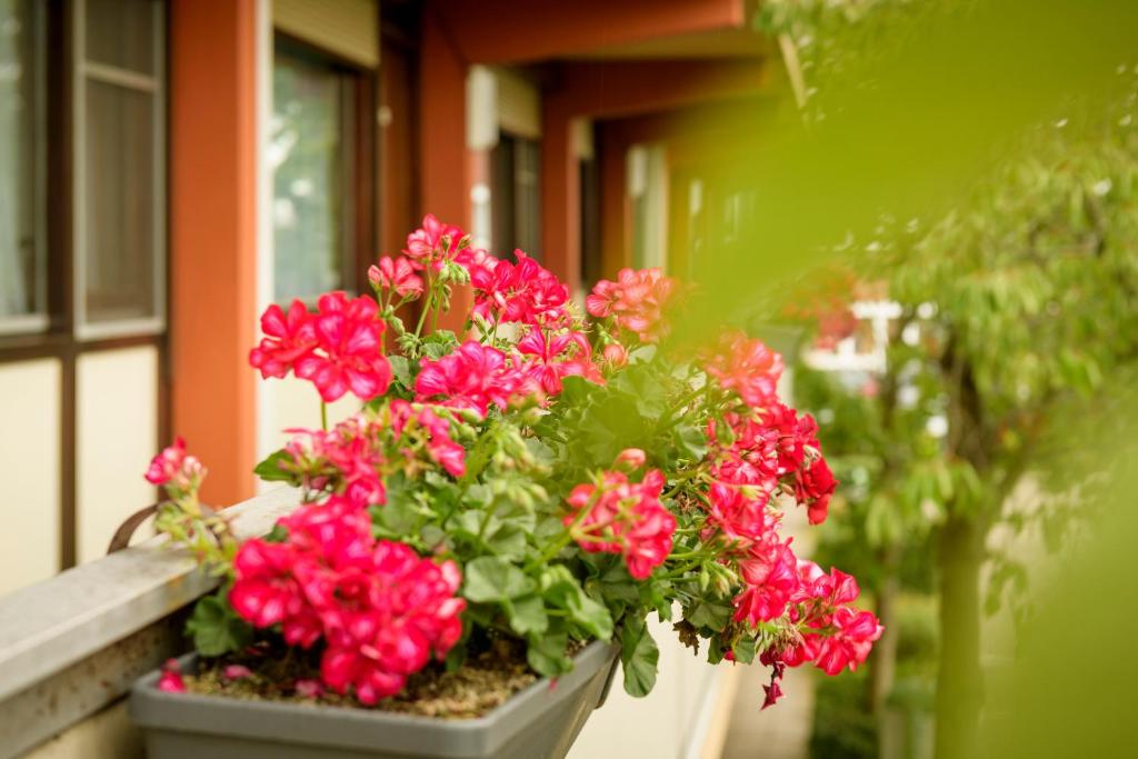 Zahrada ubytování Campanile Hotel & Restaurant Gouda