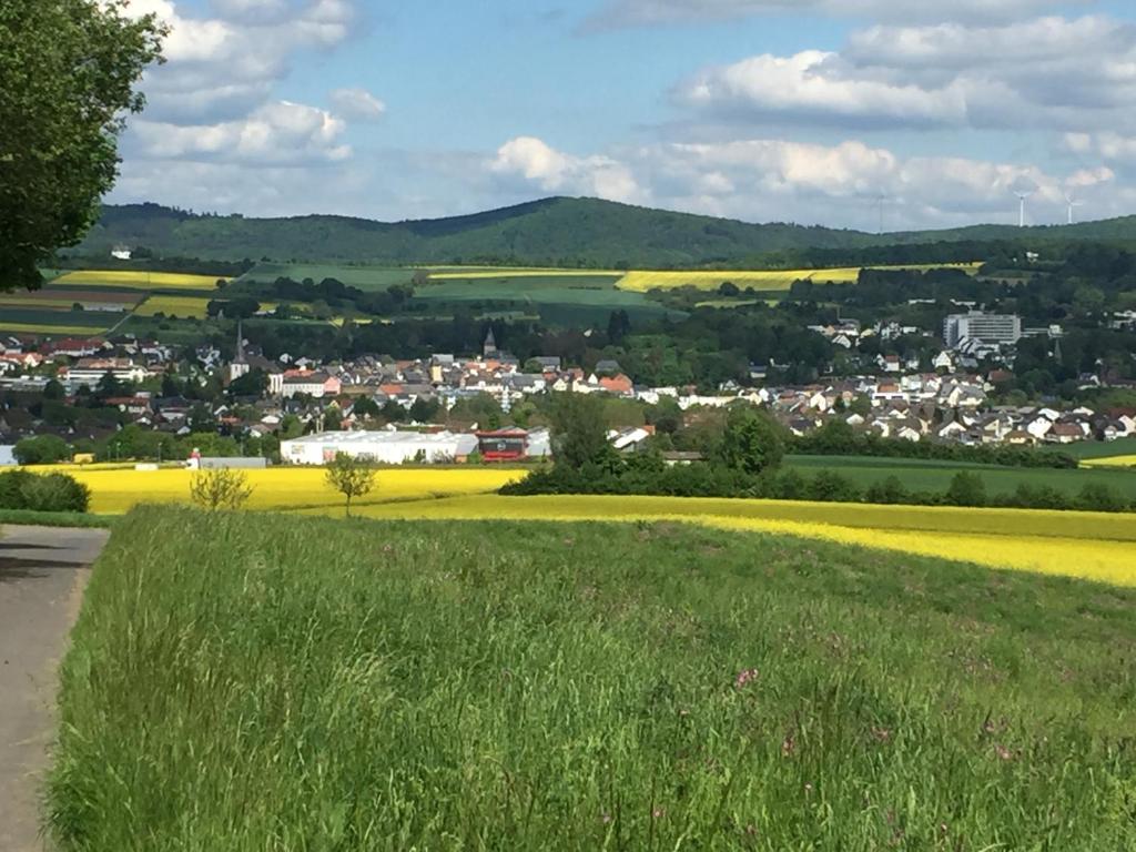 uma vista de uma cidade a partir de um campo de flores amarelas em Camberger Ferienhäuschen em Bad Camberg