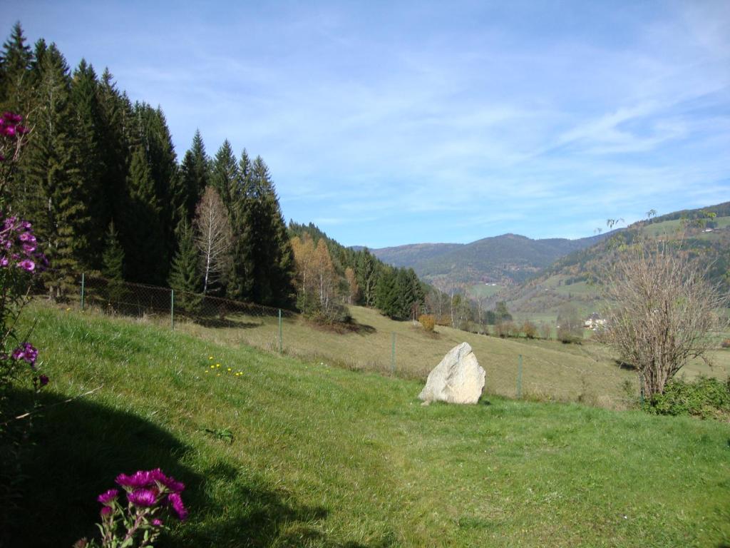 uma rocha sentada num campo com montanhas ao fundo em Apartment Eden em Glödnitz