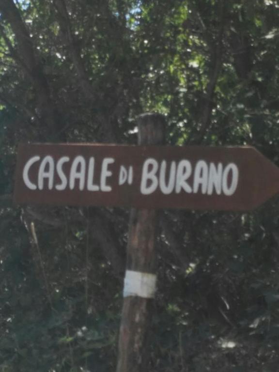 Certifikát, hodnocení, plakát nebo jiný dokument vystavený v ubytování Casale di Burano