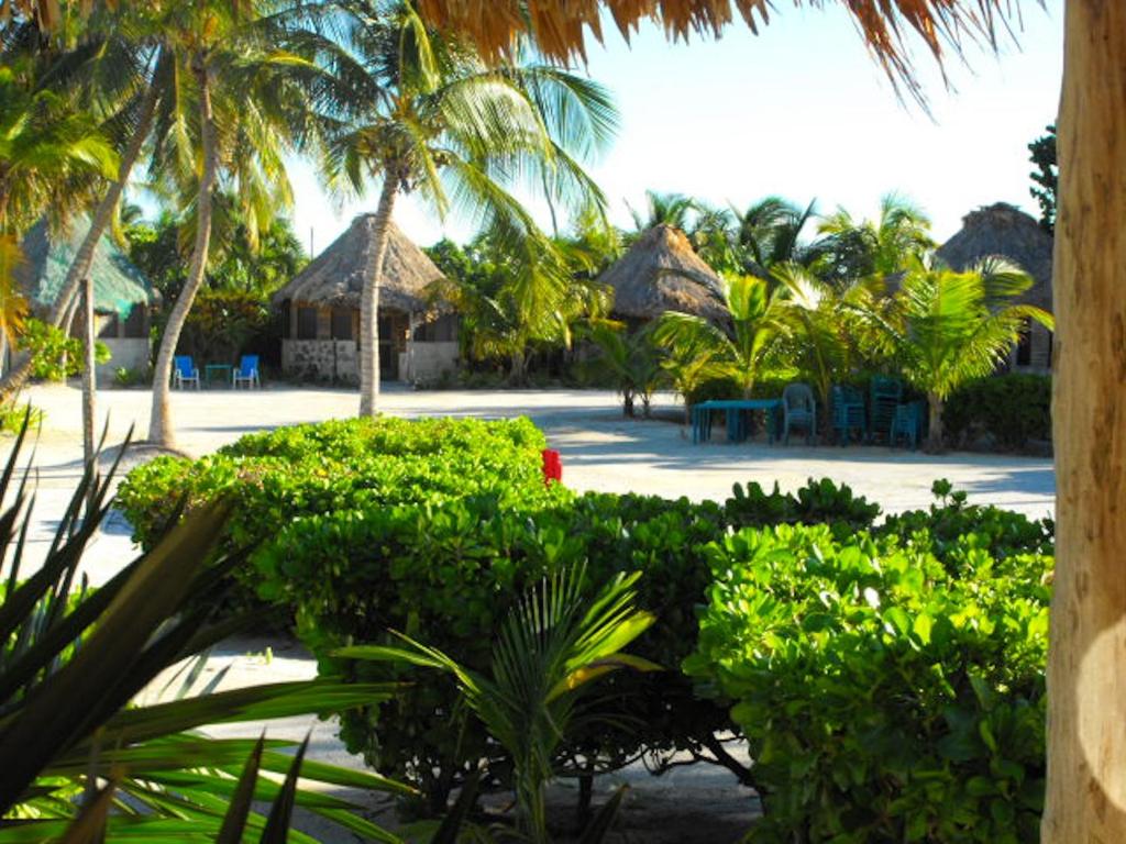 uma vista para um resort com cadeiras e palmeiras em Costa De Cocos em Xcalak