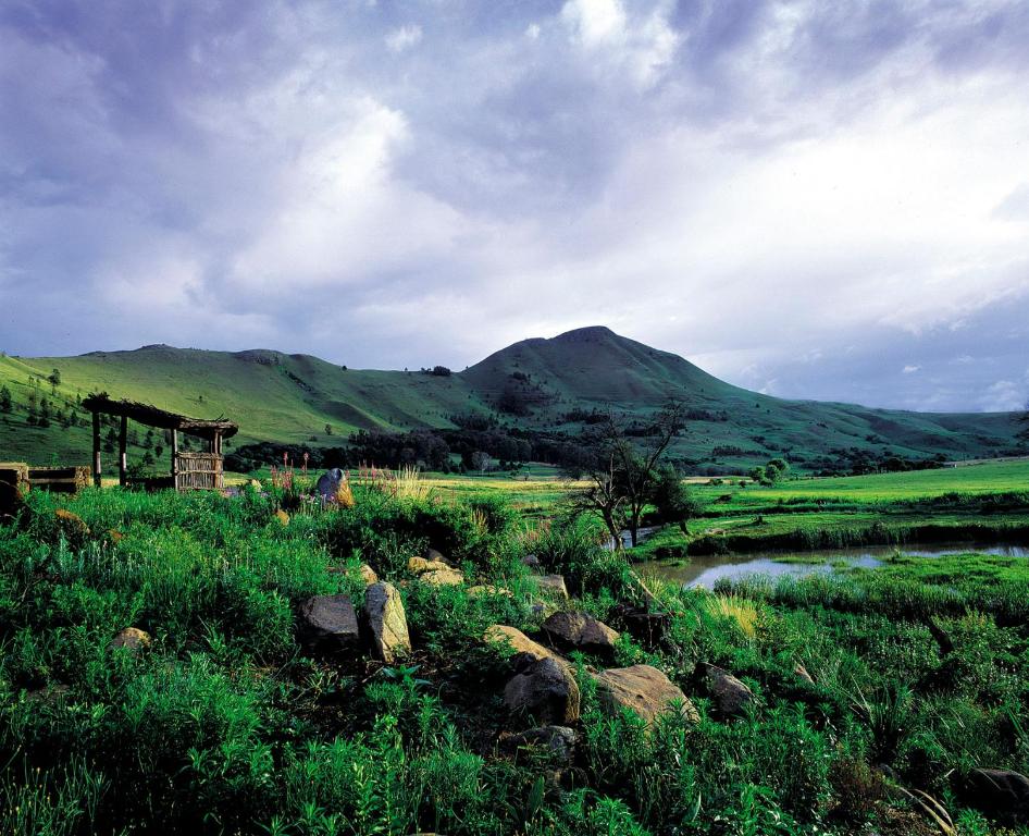 a grassy field with a mountain in the background at Stonecutters Lodge in Dullstroom