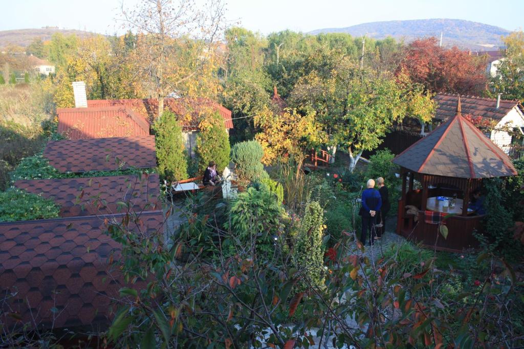 Příroda nedaleko bed and breakfast