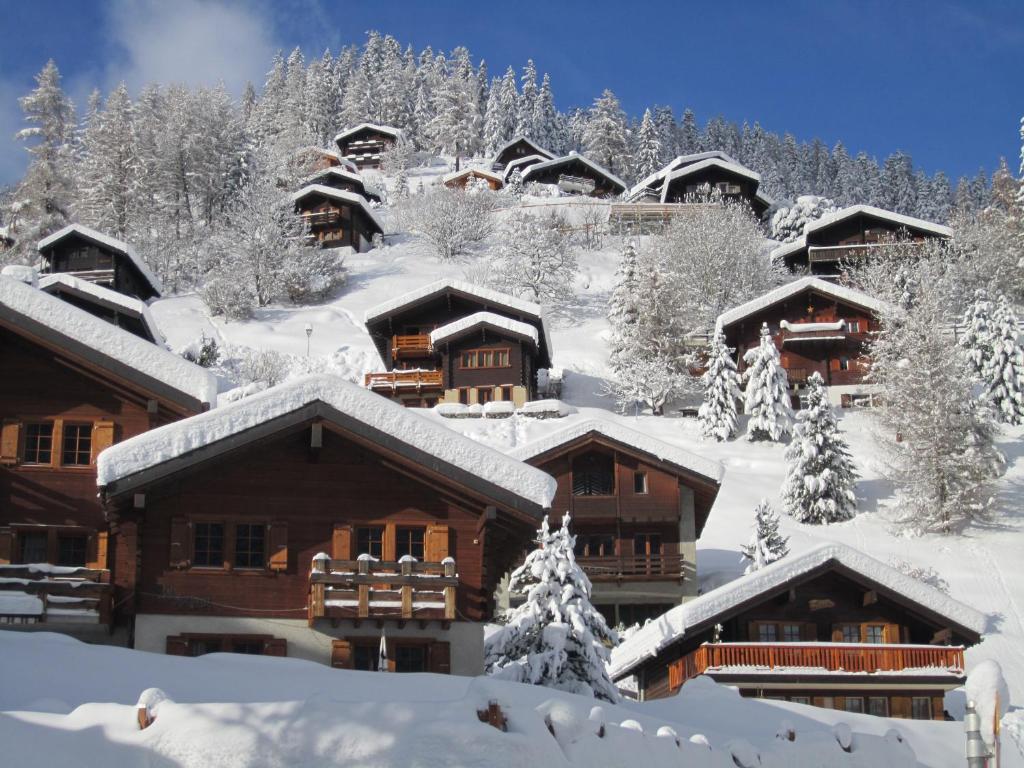 Chalet Etoile v zimě