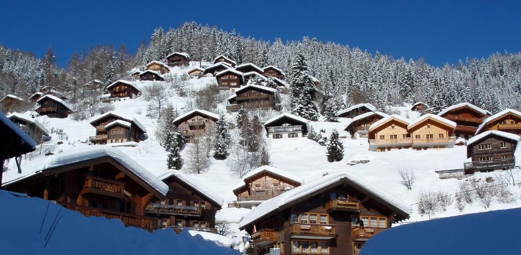 Chalet Etoile v zimě