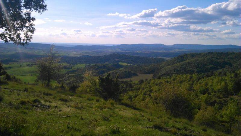 Príroda v okolí hotela