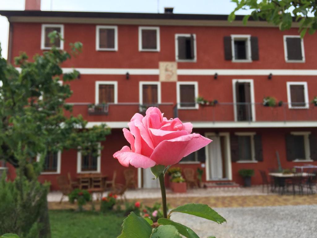 Zahrada ubytování B&B Casa del Conte