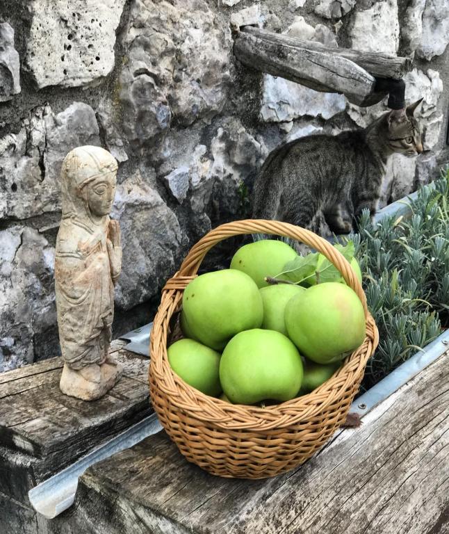 Fotografie z fotogalerie ubytování Masia Cap del Roc v destinaci Vallcebre