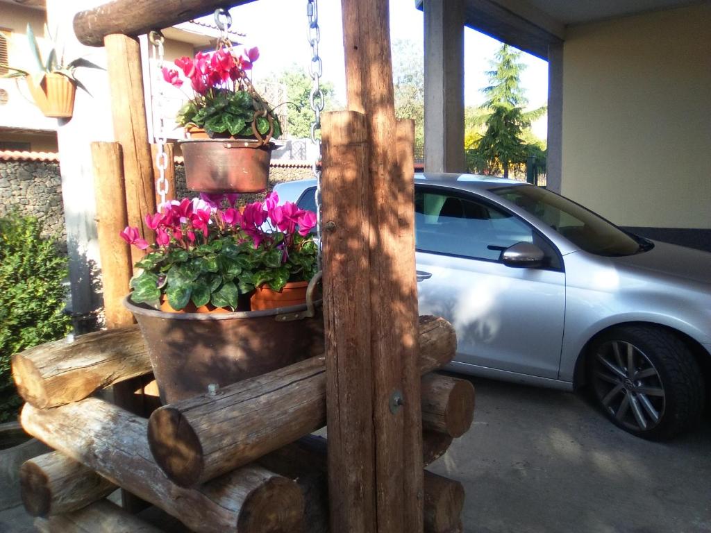 Zahrada ubytování La Tavernetta