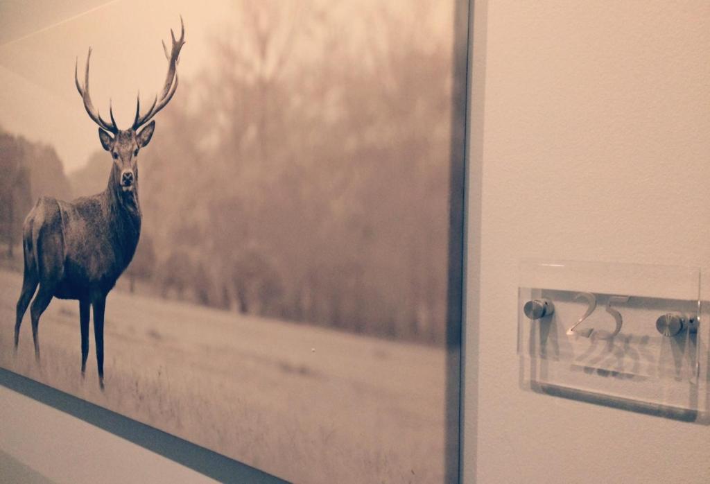 Hotel Heddernheimer Hof - Resim 21