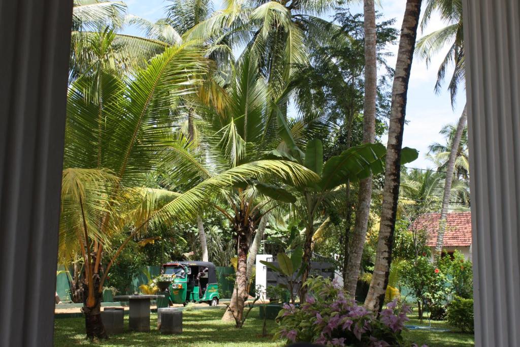 a room with palm trees and a green truck at Aliya Lanka in Beruwala