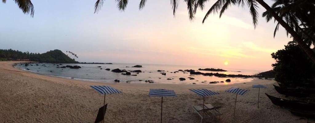 una spiaggia con ombrelloni blu e bianchi e l'oceano di Cola Beach Sunset Bay a Cola