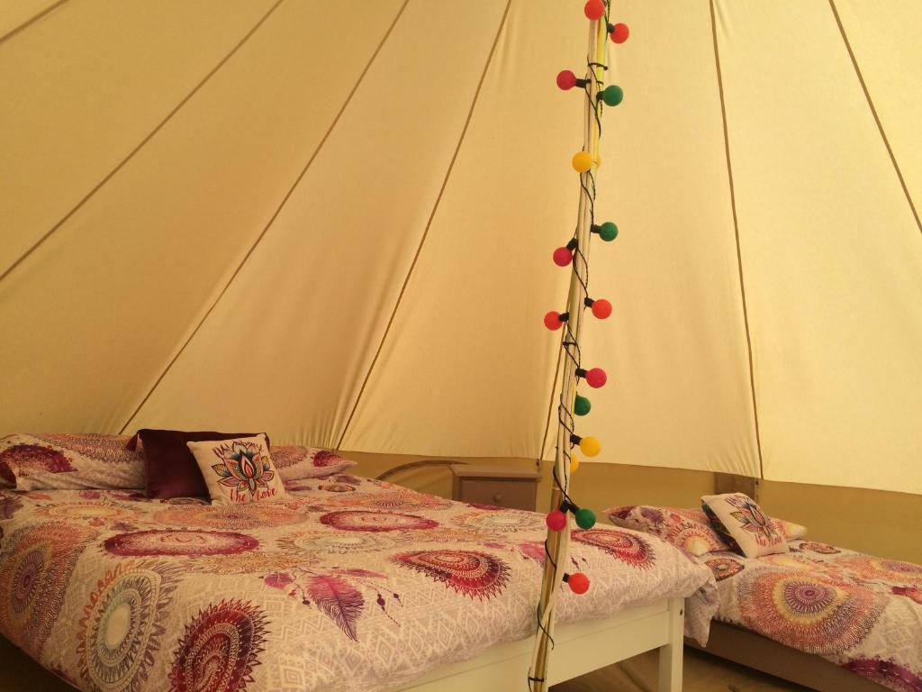 Cong Glamping