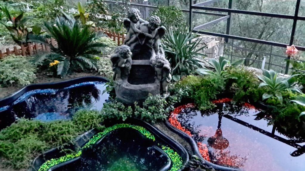 a garden with a fountain and a pond with plants at Villa Angel in Rapallo