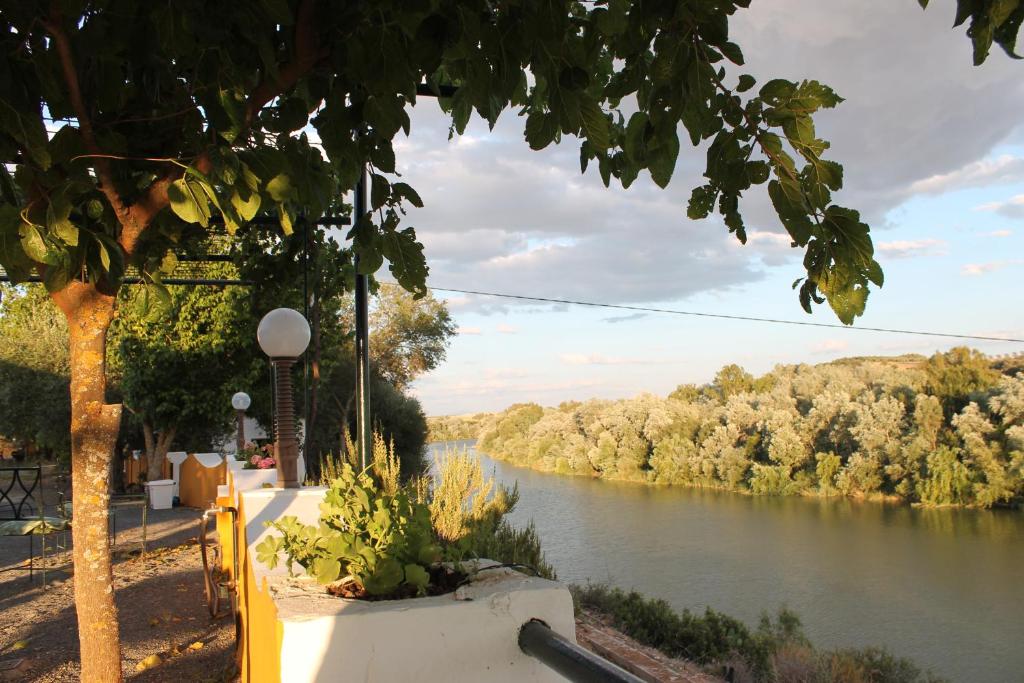 a view of a river with trees in the background at Alojamiento rural El Salto in Villafranca de Córdoba