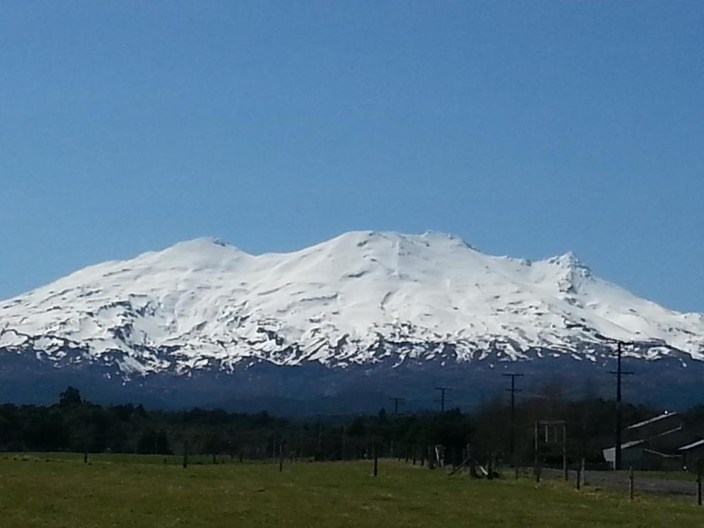 uma montanha coberta de neve em frente a um campo em Riversong em Ohakune