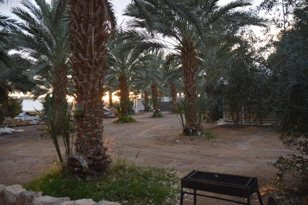 Giardino di Shkutai Hottub Arava