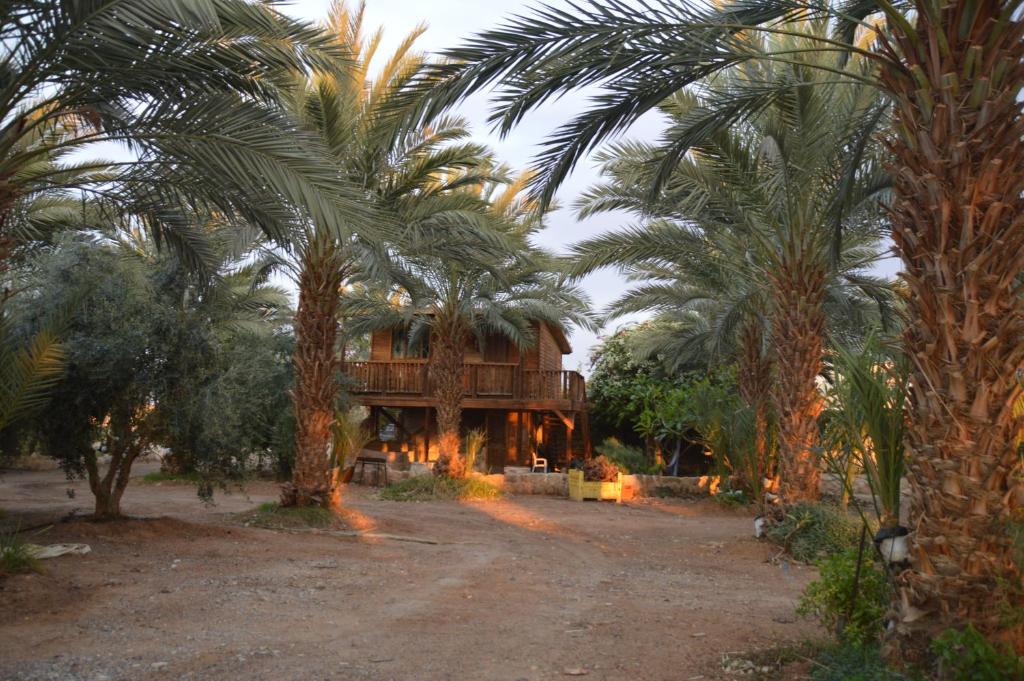 Giardino di Shkutai Hottub Arava