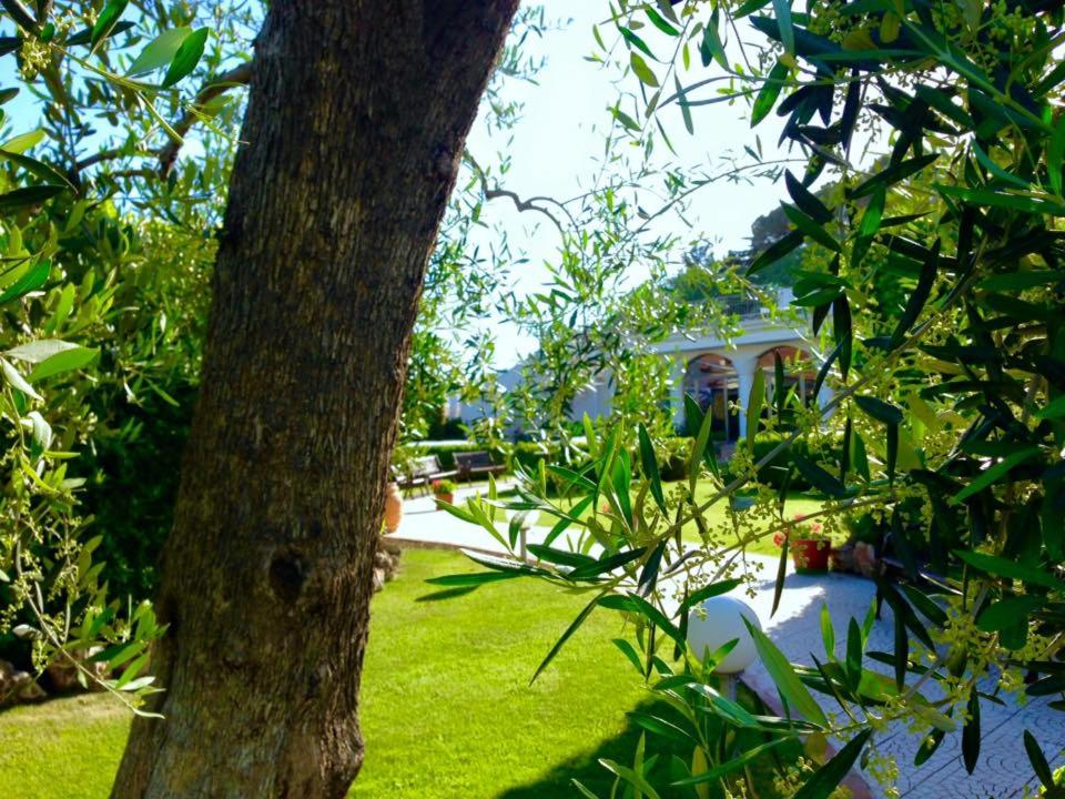Zahrada ubytování Hotel d'Altavilla