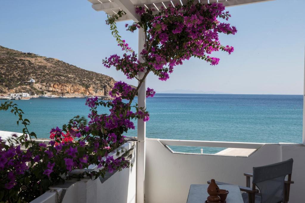 Φωτογραφία από το άλμπουμ του Πανσιον Ακρογιάλι στον Πλατύ Γιαλό Σίφνου