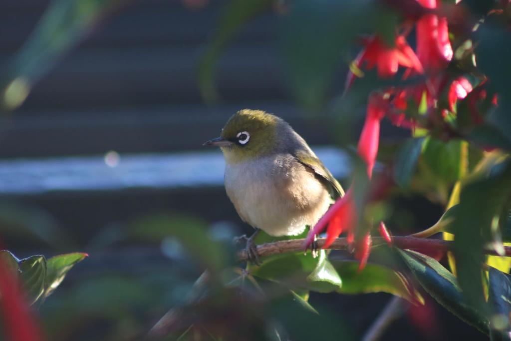 The Point B&B - Resim 33