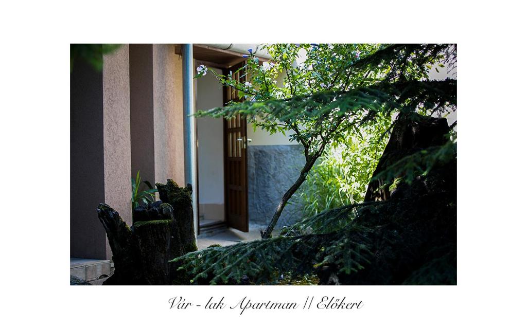 Zahrada ubytování Vár-Lak Apartman