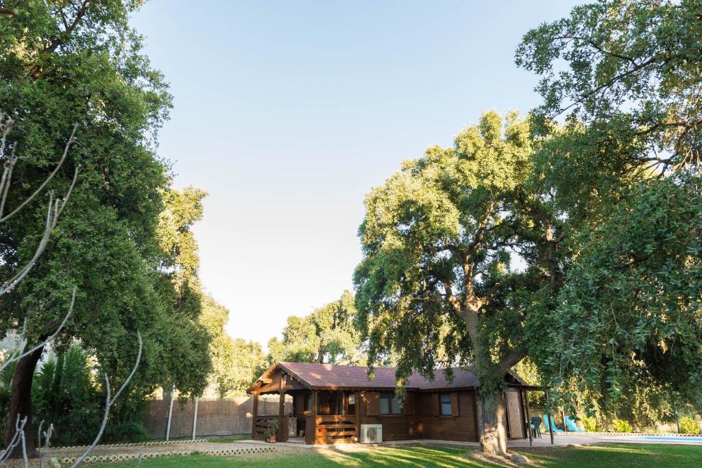 une cabane en rondins avec un arbre en face de celle-ci dans l'établissement La Casa del Chaparro, à Arcos de la Frontera