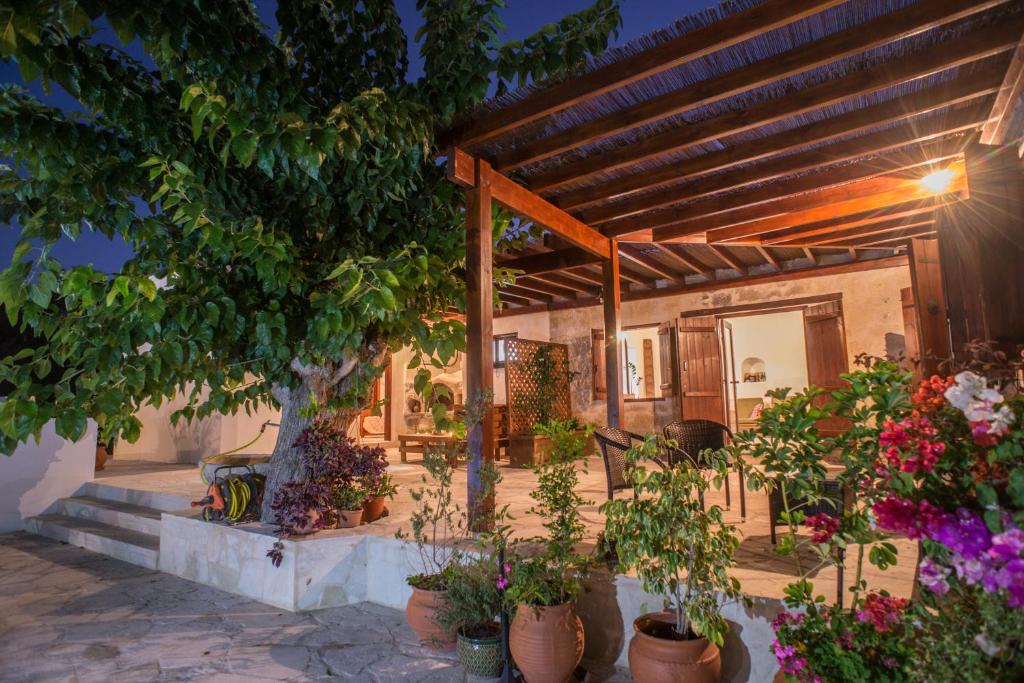 a house with a bunch of plants in pots at Chloe's House in Pano Akourdalia