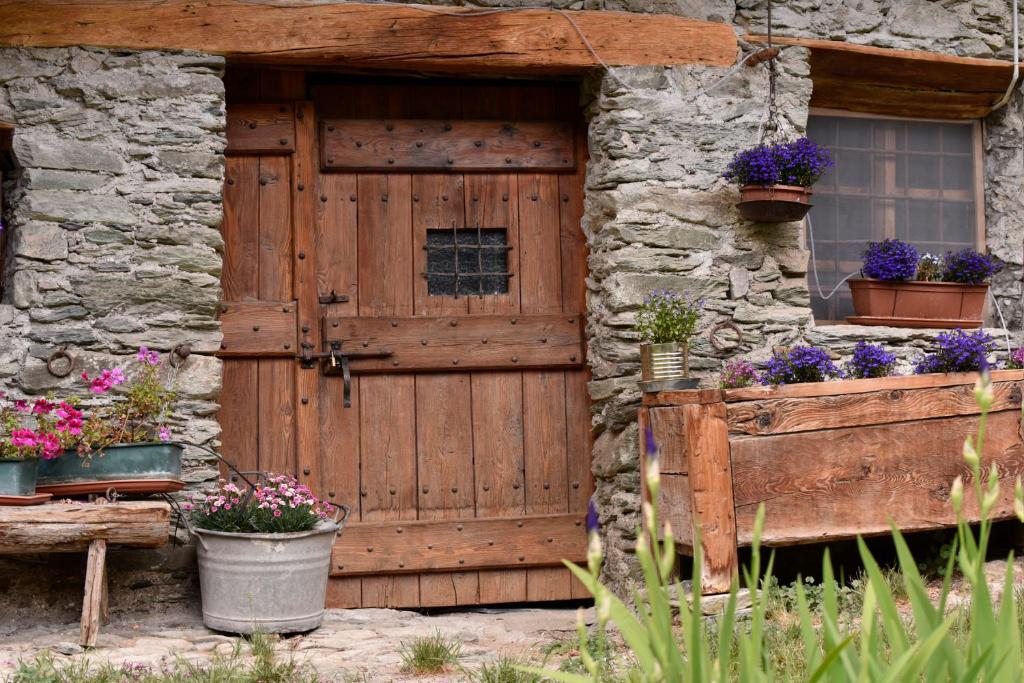 A garden outside Rifugio Lou Lindal