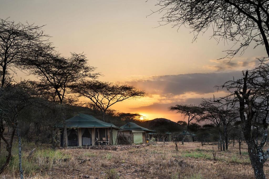 a house in a field with a sunset in the background at Ole Serai Luxury Camp in Serengeti National Park