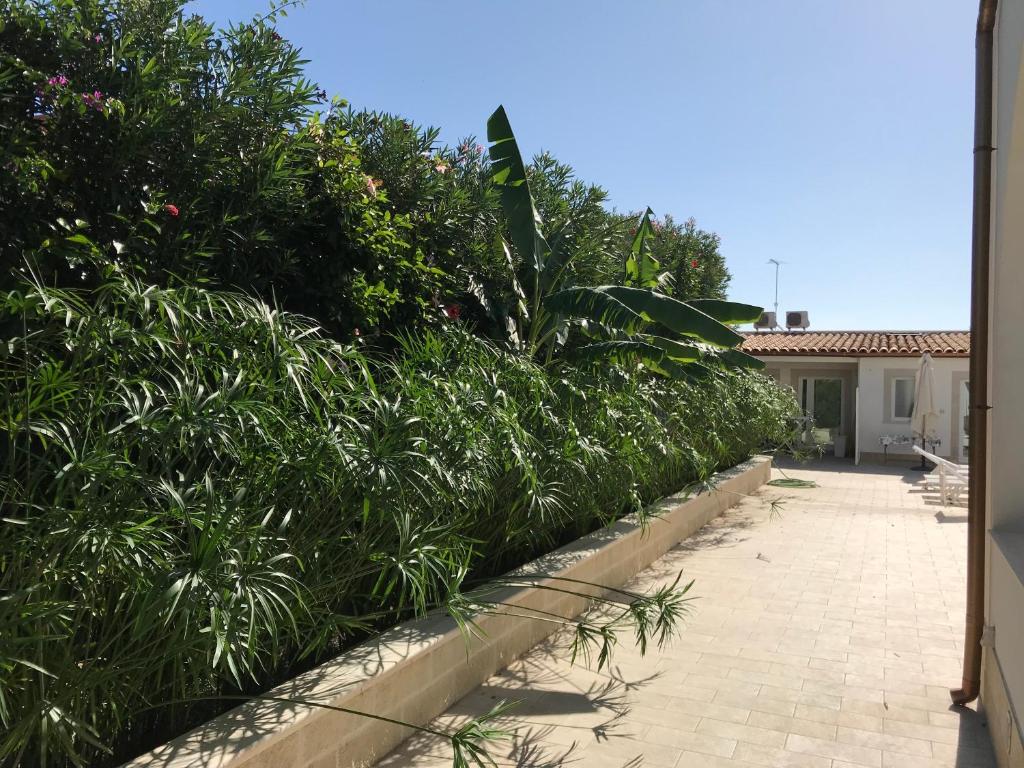 Jardín al aire libre en Archiammare Sea