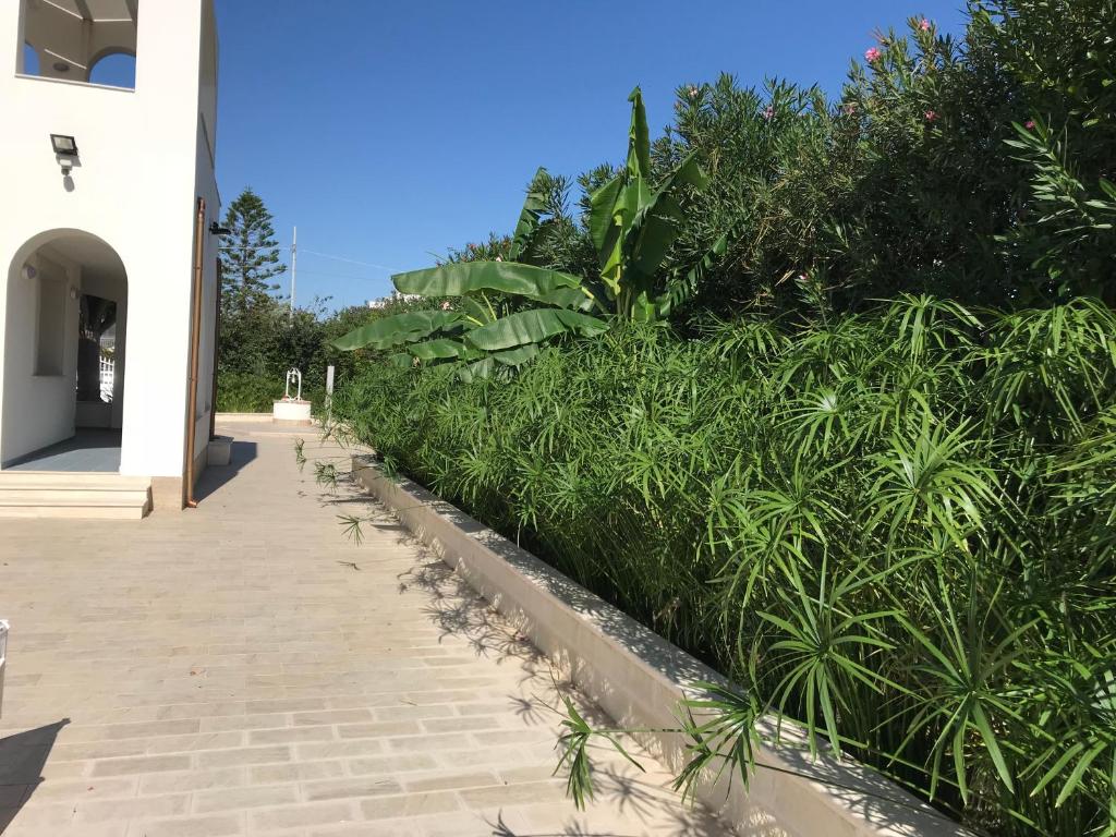 Jardín al aire libre en Archiammare Sea
