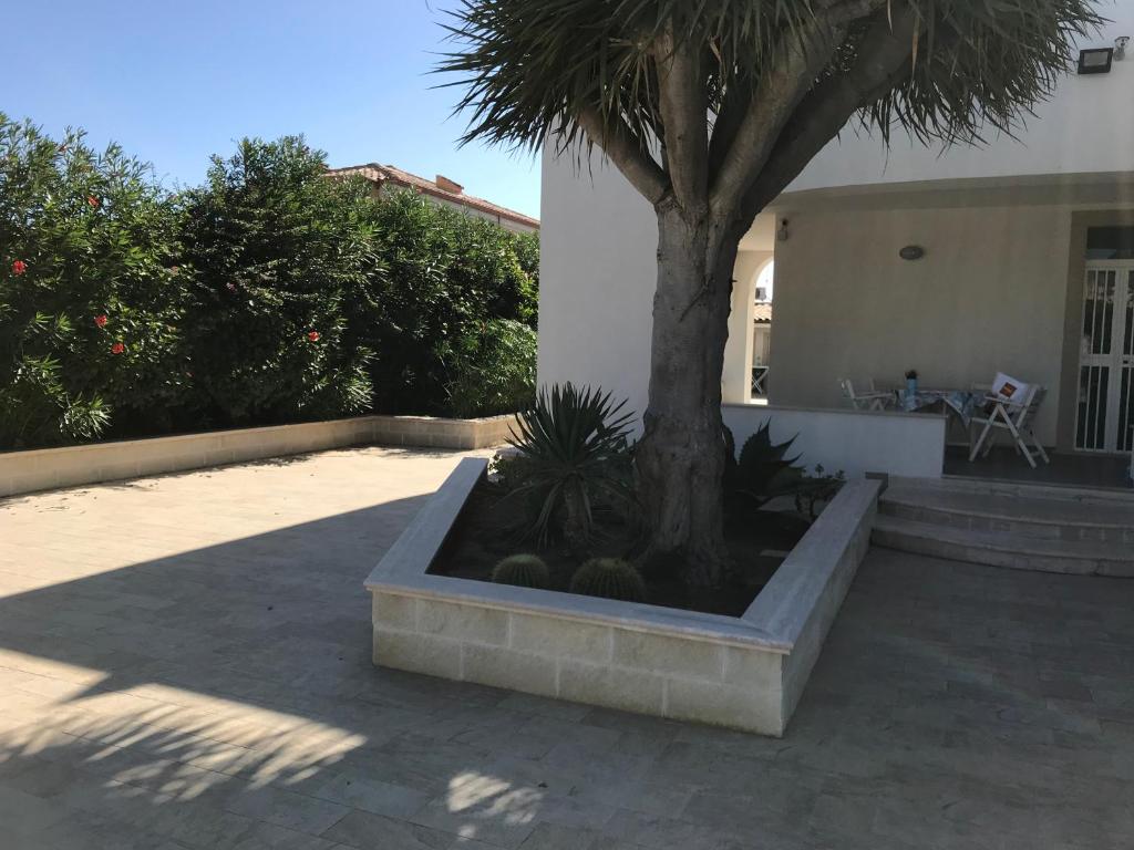 Jardín al aire libre en Archiammare Sea