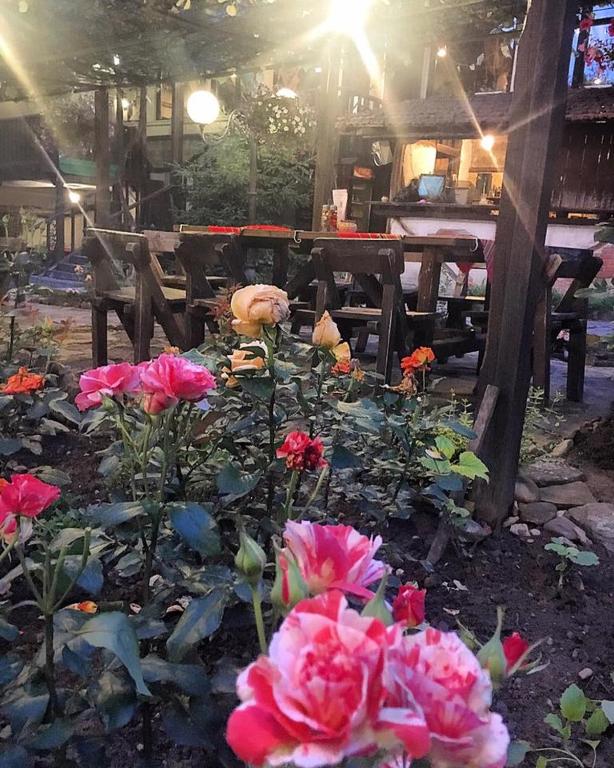 Zahrada ubytování Troyan Plaza Hotel