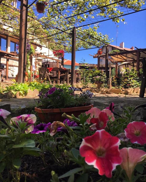 Zahrada ubytování Troyan Plaza Hotel