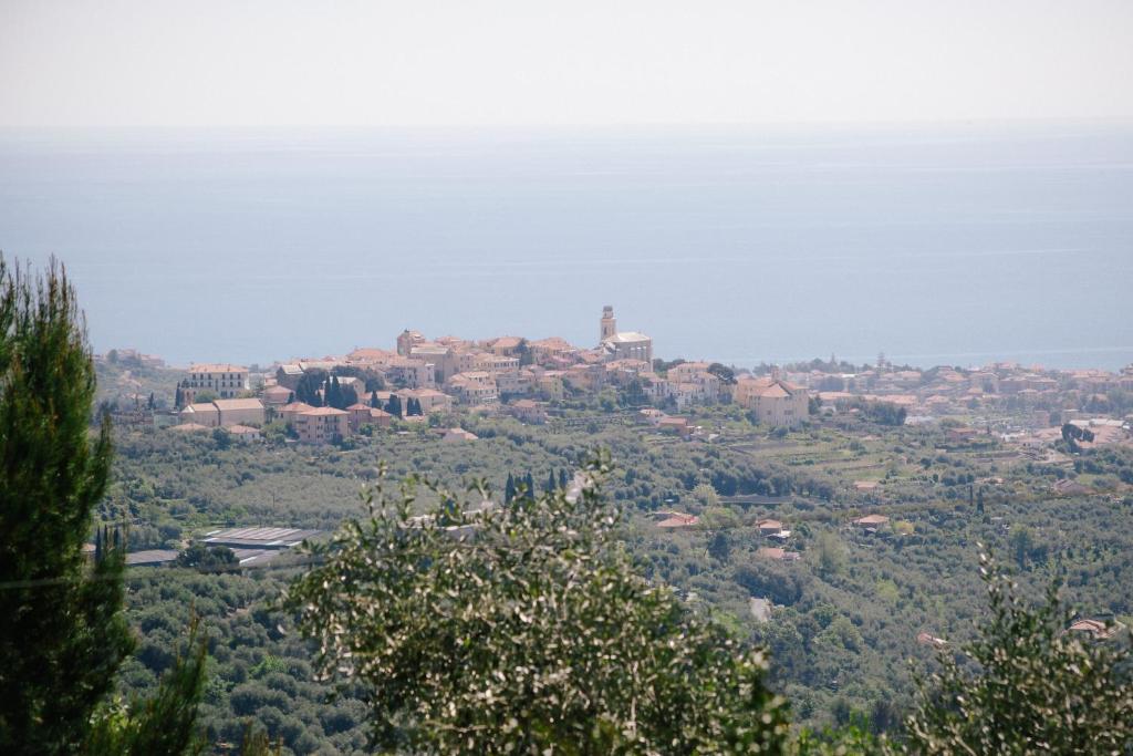 Príroda v okolí farmy